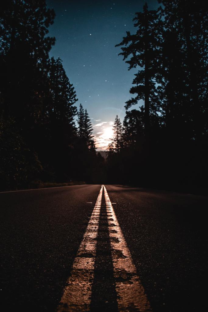 A road runs between dark trees, towards a point of light on the horizon